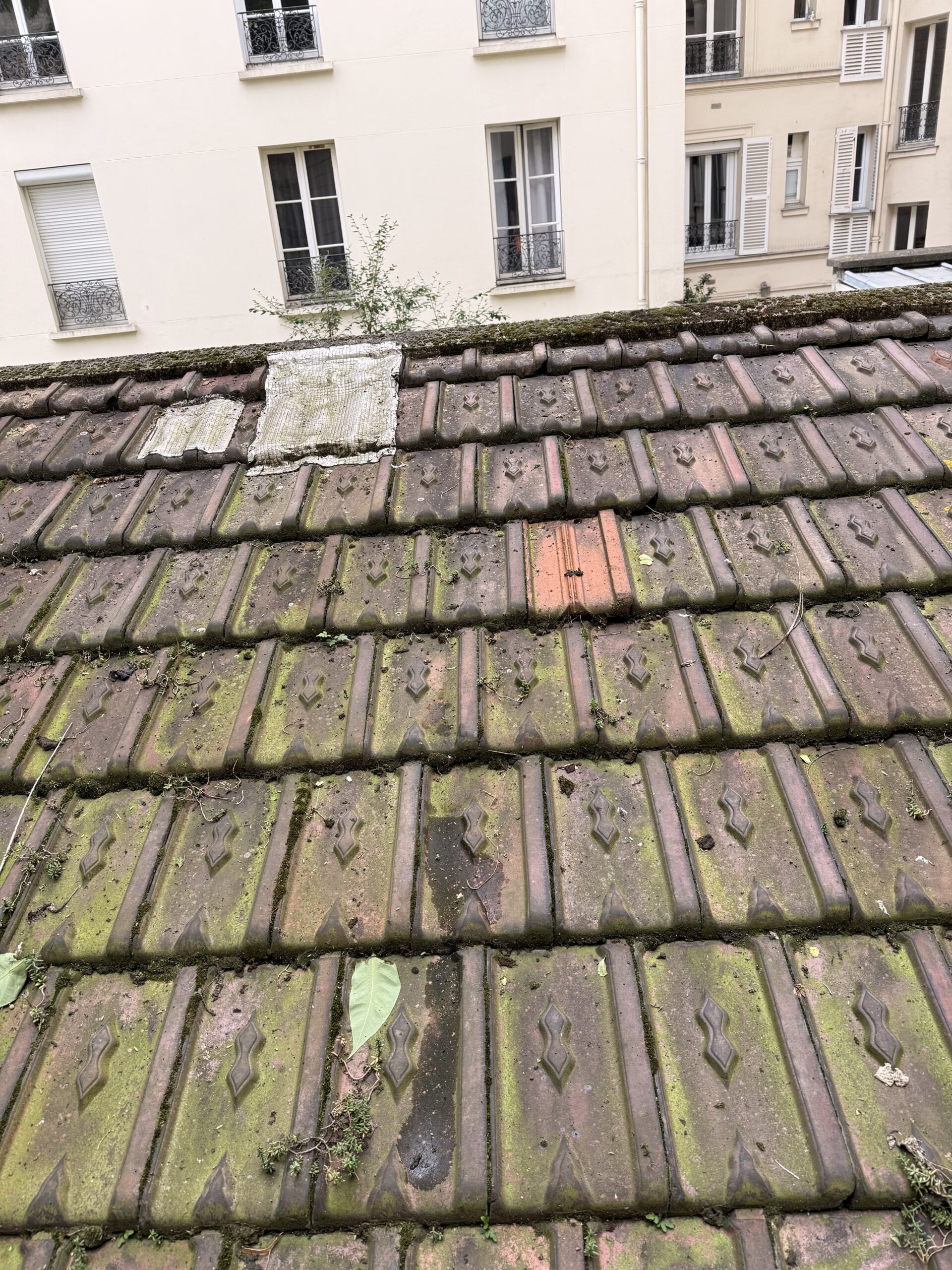 Avant toit 3 Avant toit 3